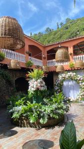 a building with a bunch of flowers in front of it at La Serrania B&B in Boquete