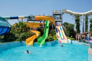 Counting insects weekend violinist Pine Bay Holiday Resort, Kuşadası – Updated 2022 Prices