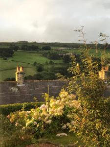 a garden with flowers in front of a fence at Holme Valley Vista, Holmfirth in Holmfirth