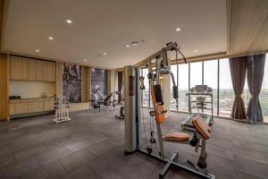 Fitness centrum a/nebo fitness zařízení v ubytování Sarovar Portico Morbi