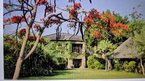 卡萨内The Residence Villa Chobe的树上红叶的大房子