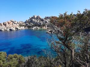 widok na plażę z kamieniami i błękitną wodą w obiekcie La Residenza del Porto w mieście Santa Teresa Gallura