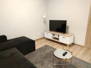 ein Wohnzimmer mit einem schwarzen Sofa und einem TV in der Unterkunft Shanghai Banzai New Apartment Vilnius in Vilnius