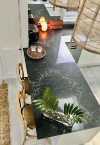 a black table with a plant on top of it at Pengelly's Boutique Private Residence in Buderim