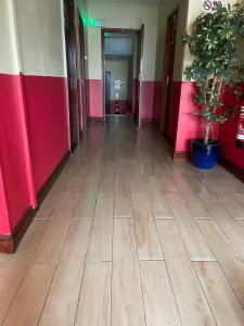 an empty hallway of a building with a potted plant at Nights Inn in Slough