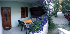 Zahrada ubytování ANTE Accommodation