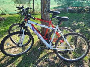 רכיבה על אופניים ב-La Casita De Campo. Relax y Naturaleza או בסביבה