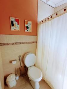 a bathroom with a toilet and a white curtain at Delta Tigre in Tigre +25 photos