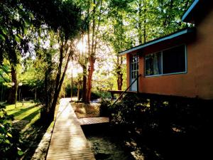 a wooden walkway leading to a house in the woods at Delta Tigre in Tigre