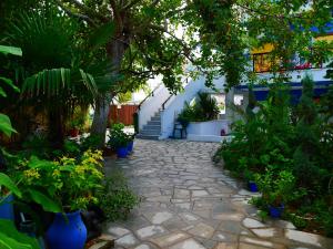 einen Garten mit Pflanzen und einen Steinsteg in der Unterkunft Blue Sea Beach Resort in Skala Potamias