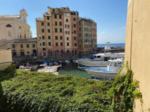 カモーリにあるLIGURIA HOLIDAYS - La casetta sul porticcioloのギャラリーの写真