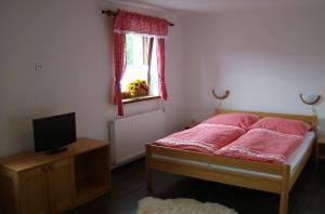 a bedroom with a bed and a television and a window at Penzion a restaurace U Maryny in Bocanovice