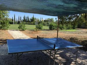 Taula de ping-pong a Family Country House o a prop