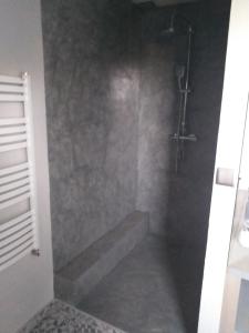 克拉西琴的住宿－Krasiczyn nocleg，带淋浴和步入式淋浴间的浴室