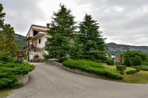 Příroda nedaleko apartmánu