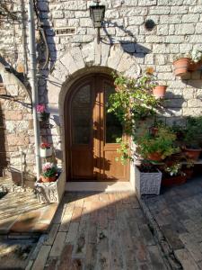 una porta d'ingresso di una casa in pietra con piante in vaso di Le Casette di Franco & Anna ad Assisi