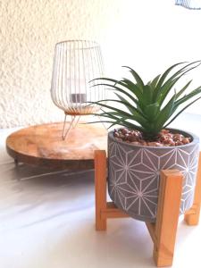 a potted plant sitting on a wooden stand next to a table at Style Bord de mer avec une chambre et une terrasse extérieure - PISCINE OUVERTE et CHAUFFÉE - Vue lac - Aire Jeux d' Enfants - Check-in Automatisé - Parking gratuit - au bord du lac - Animations Juillet Août in Le Barcarès