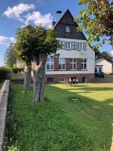 a house with a tree in front of it at Alte Schule Seinsfeld 