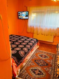 Cette chambre comprend un lit avec un tapis et une télévision. dans l'établissement Noé Bárkája Vendégház, à Nagyrákos