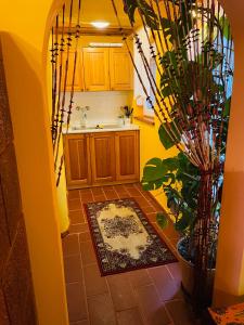 a kitchen with a sink and a potted plant at Noé Bárkája Vendégház in Nagyrákos