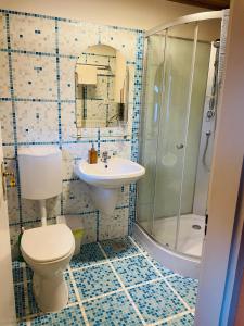 a bathroom with a toilet and a sink and a shower at Noé Bárkája Vendégház in Nagyrákos