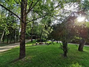 Foto dalla galleria di Karancsvölgyi Pihenőház a Karancsberény