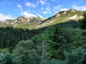 uma vista para uma floresta com montanhas ao fundo em "Leo Pixel" AVAIRENT Canfranc Estación em Canfranc-Estación