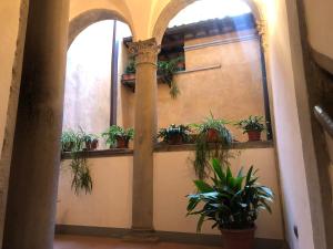 un corridoio con piante in vaso su un muro di Palazzo Cordoni a Città di Castello