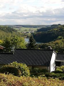 a house with a view of a river and trees at Eifelhäuschen am See in Biersdorf +49 photos