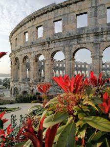 Fotografia z galérie ubytovania Apartment Ben1 v destinácii Pula