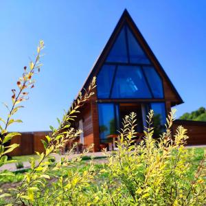 Zahrada ubytování Fruska