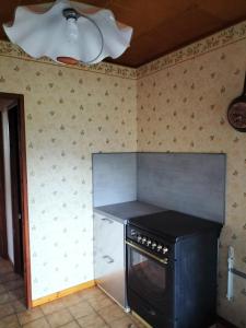 uma cozinha com um fogão e um frigorífico em Les Chaumes em Villiers-en-Morvan