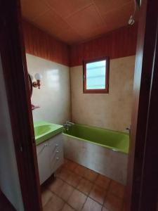 uma casa de banho com uma banheira verde e uma janela em Les Chaumes em Villiers-en-Morvan