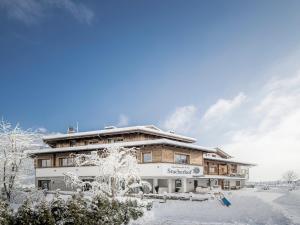 Aparthotel Stacherhof during the winter