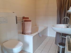 Phòng tắm tại Horsetellerie Rheezerveen