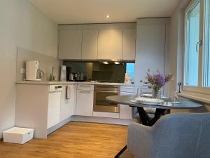 Kuchyň nebo kuchyňský kout v ubytování Appartement Schillerkopf + 4 fotografie