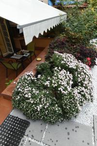 A garden outside Il giardino nascosto