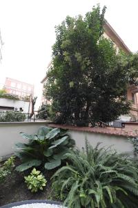 A garden outside Il giardino nascosto