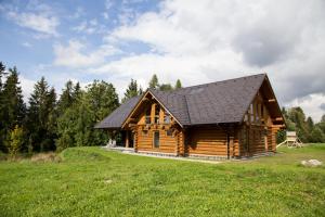 domek z bali z czarnym dachem w obiekcie Luxusní srub až 24 lůžek - Sruby-lipno w mieście Frymburk