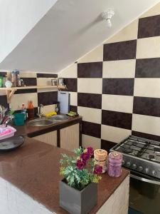 a kitchen with a checkered wall at Seif's house in Dahab