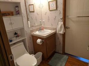 ein kleines Bad mit WC und Waschbecken in der Unterkunft Thomas Holiday Home in Clearfield