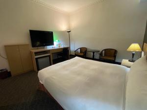 una camera con letto e TV a schermo piatto di Dreamer Hotel a Budai