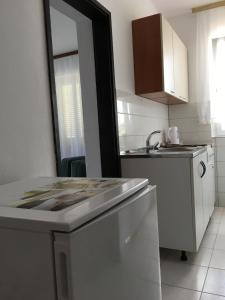 Kuchyň nebo kuchyňský kout v ubytování Apartmani Belobrk Potocnica Pag