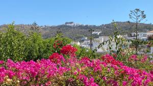 a field of pink flowers with mountains in the background at Skala Hotel in Skala
