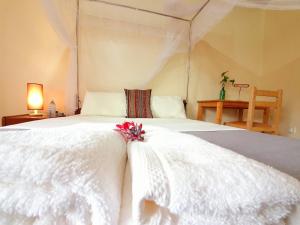 Gallery image of Annas Bed and Breakfast in Entebbe