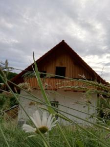 an old building in a field of grass at Bioferienhaus Muster - Dominkusch in Pössnitz