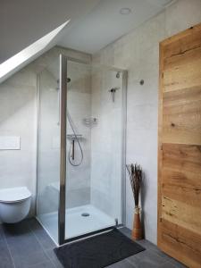 a shower stall in a bathroom with a toilet at Bioferienhaus Muster - Dominkusch in Pössnitz