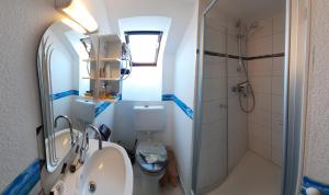a bathroom with a toilet and a sink and a shower at Zwei ruhige, private Gästezimmer nahe U-Bahn in Nuremberg