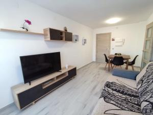 sala de estar con TV de pantalla plana grande en Apartamento Espa, en L'Ametlla de Mar