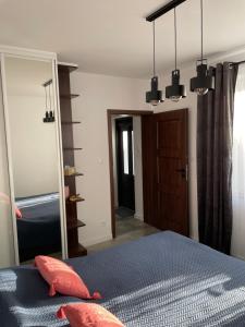 a bedroom with a bed and a large mirror at Amber House in Debina +43 photos